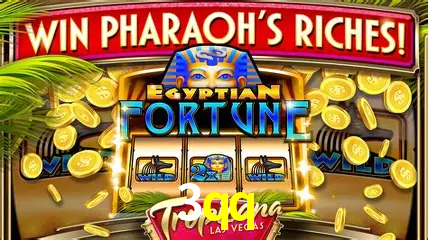 Descubra a Essência do 3qq: Nossa História e Compromissos